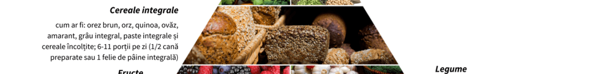 Piramida alimentelor vegetale