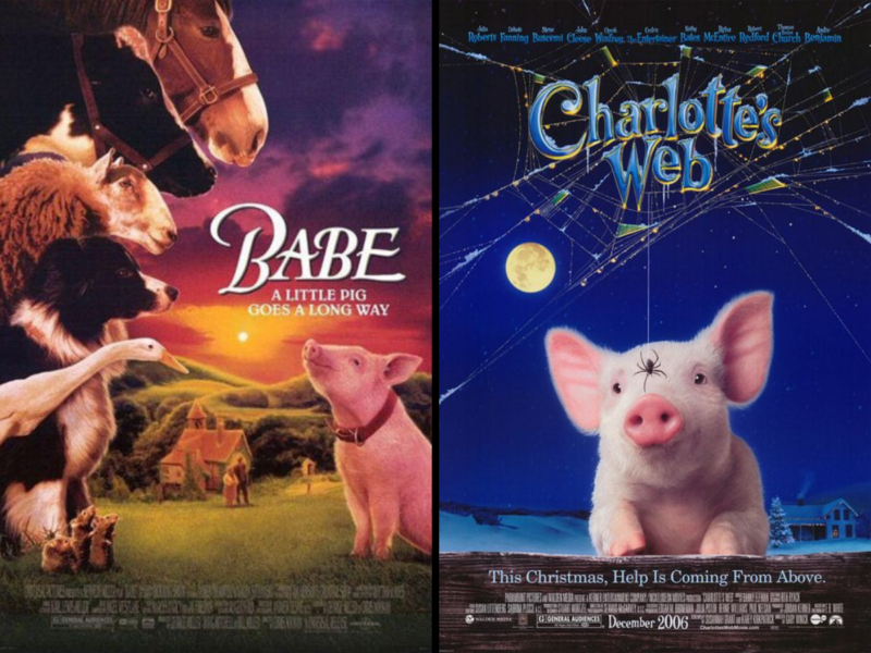 Babe & Charlotte's Web